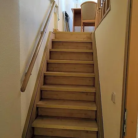 Löhr 3*