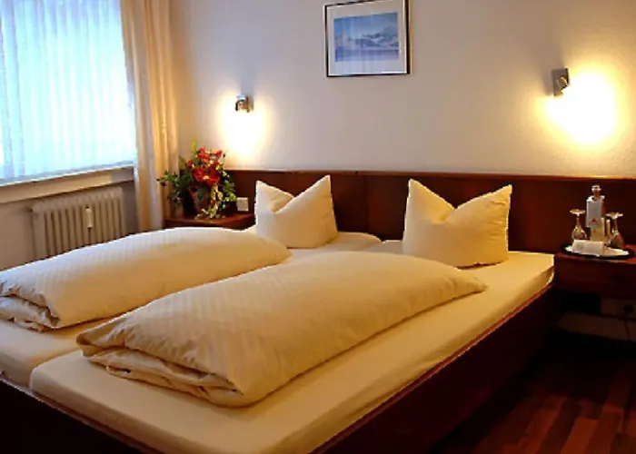 Loehr Hotel 3*